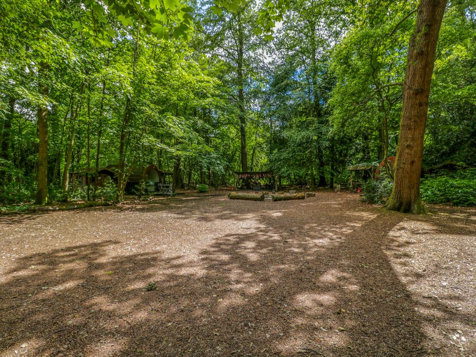 An outdoor area with trees and a fire pit at Bluebell Glamping Pod in Woolton Hill