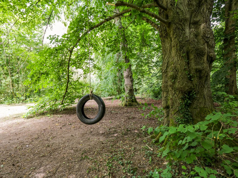 A tire hanging from a tree in a wooded area at Bluebell Glamping Pod Woolton Hill