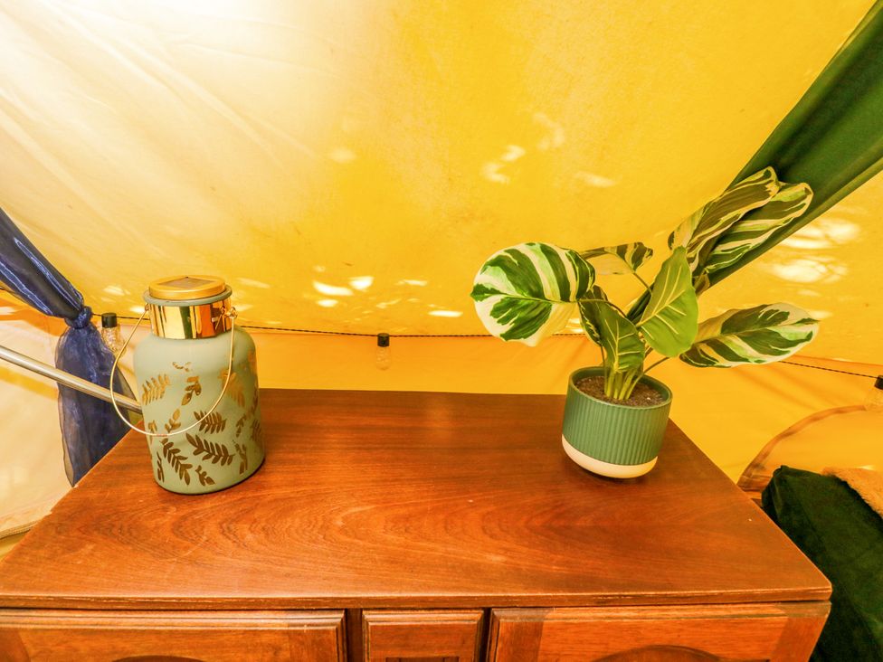 A table with a plant and a jar in Jungle Bell Tent, Woolton Hill