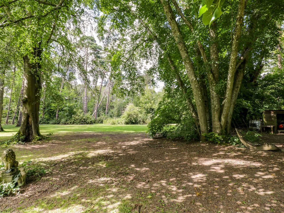 An outdoor area with trees and a hammock at Jungle Bell Tent in Woolton Hill