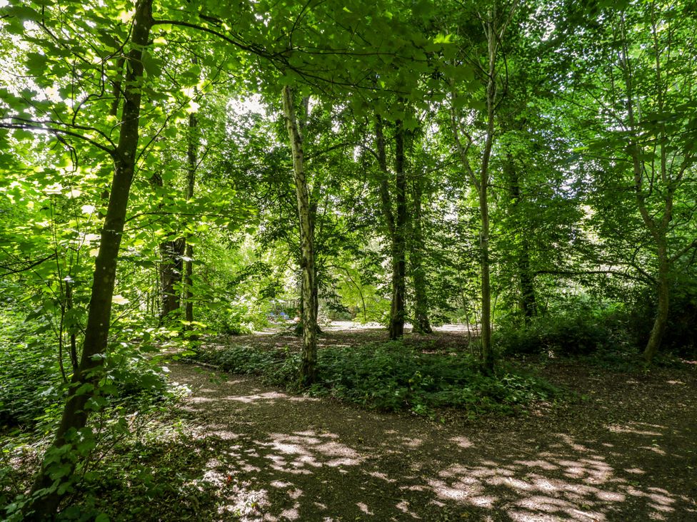 A forest area with trees and a path at Jungle Bell Tent in Woolton Hill