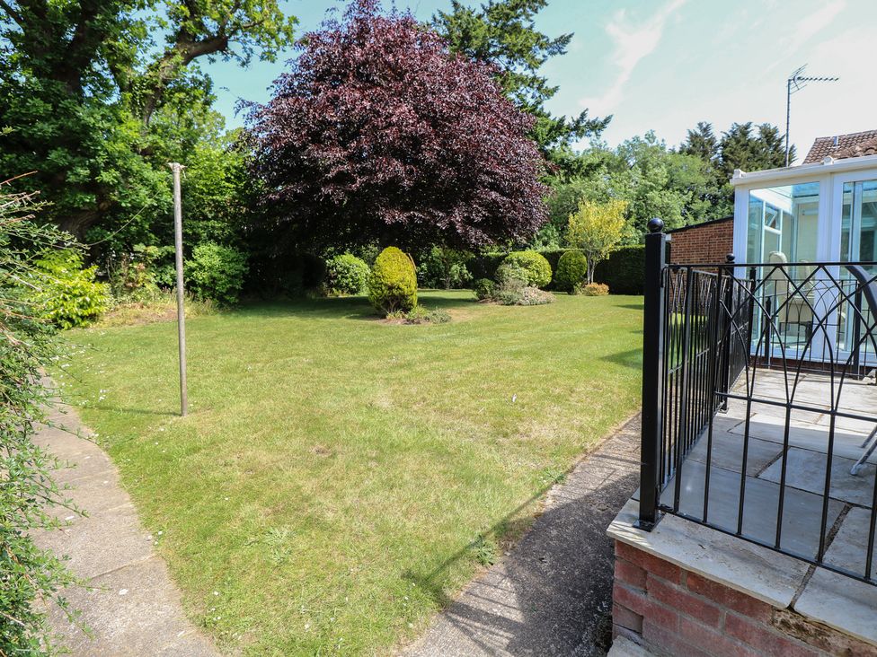 A garden with a grass lawn and a tree at 51 Colin McLean Road in Dereham