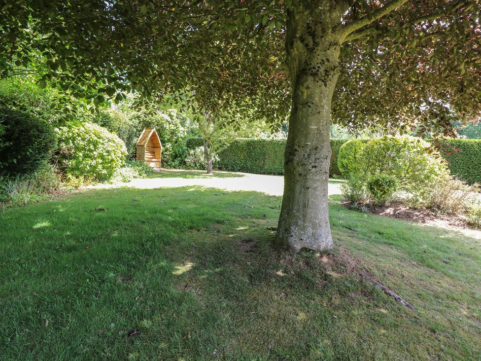 A garden with a tree and a wooden structure at 51 Colin McLean Road Dereham