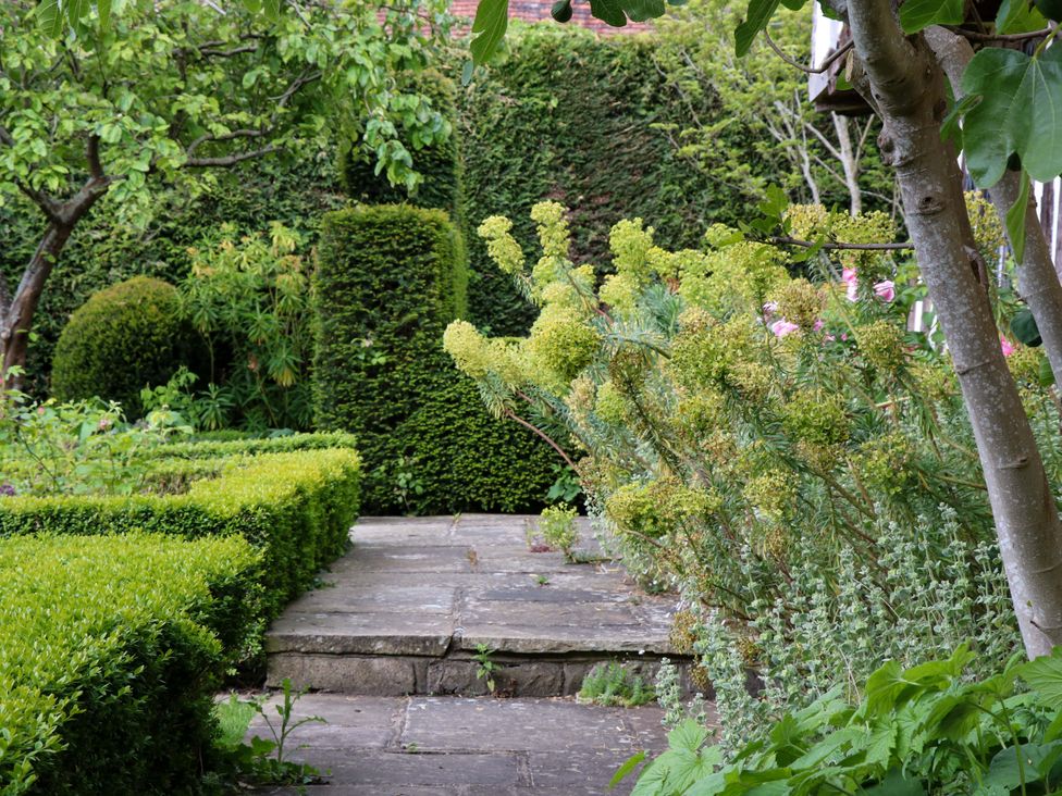 A garden with a stone pathway and various plants at Dukes Place 