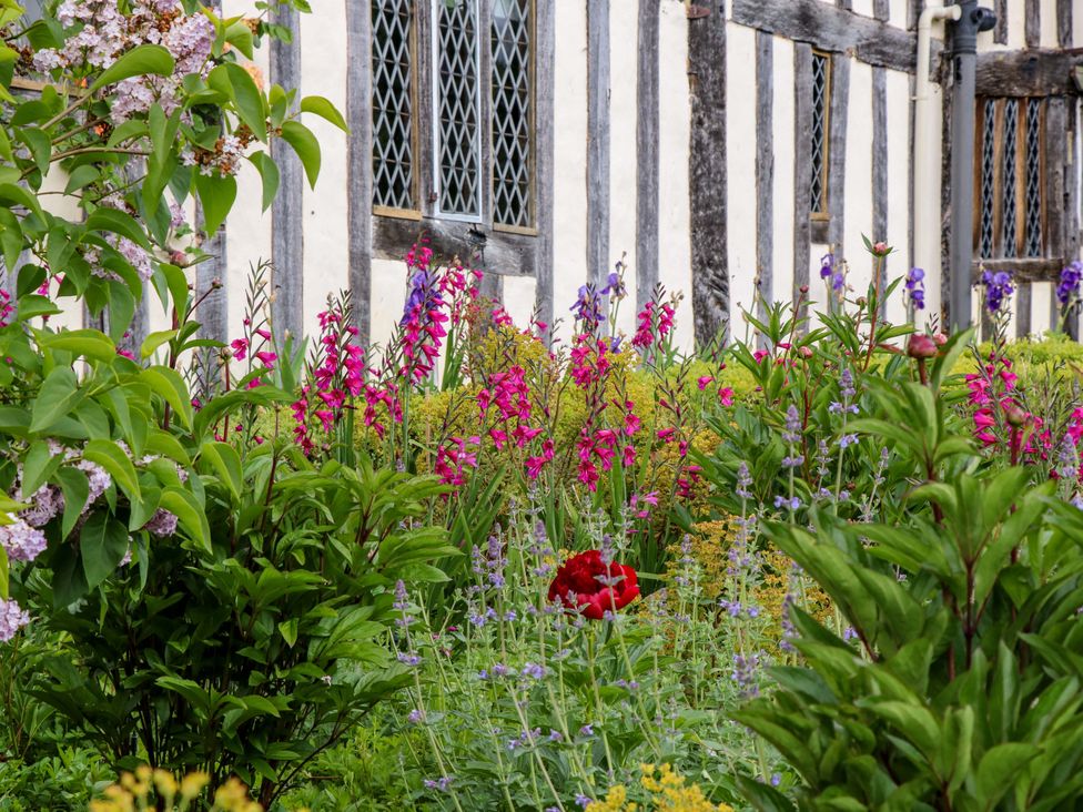 A garden with various flowers and a window at Dukes Place 