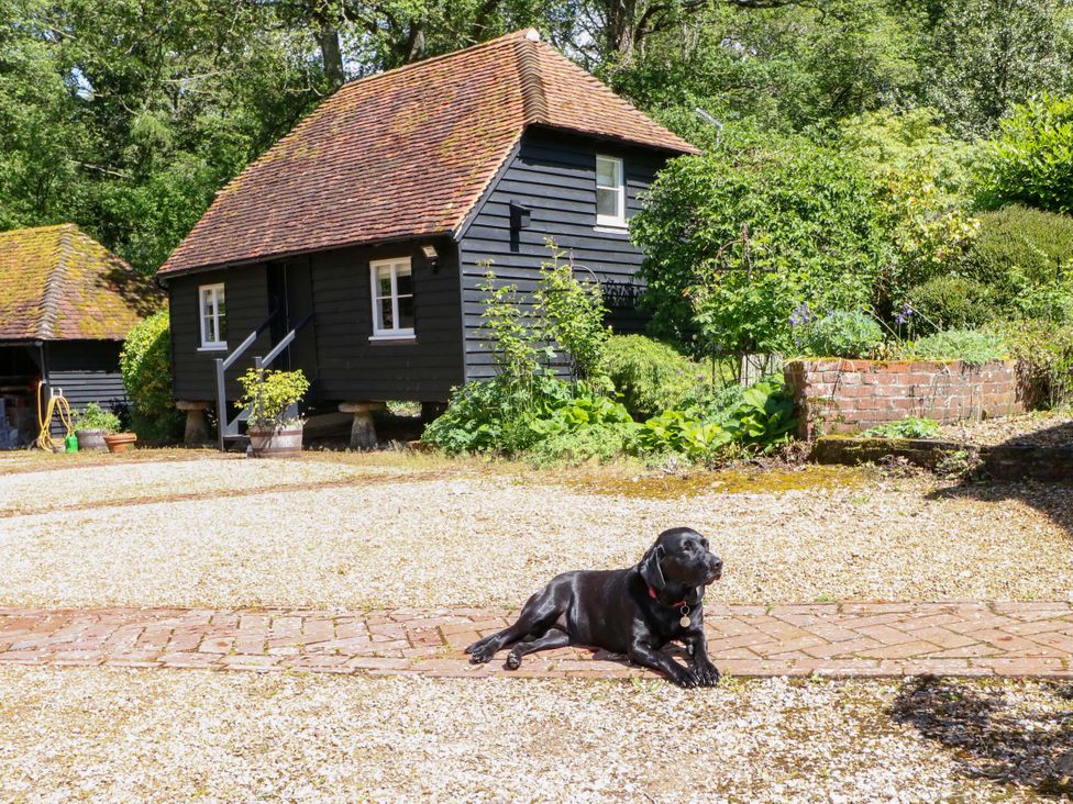A dog lying on a path in a garden with a house in the background at The Granary Petworth