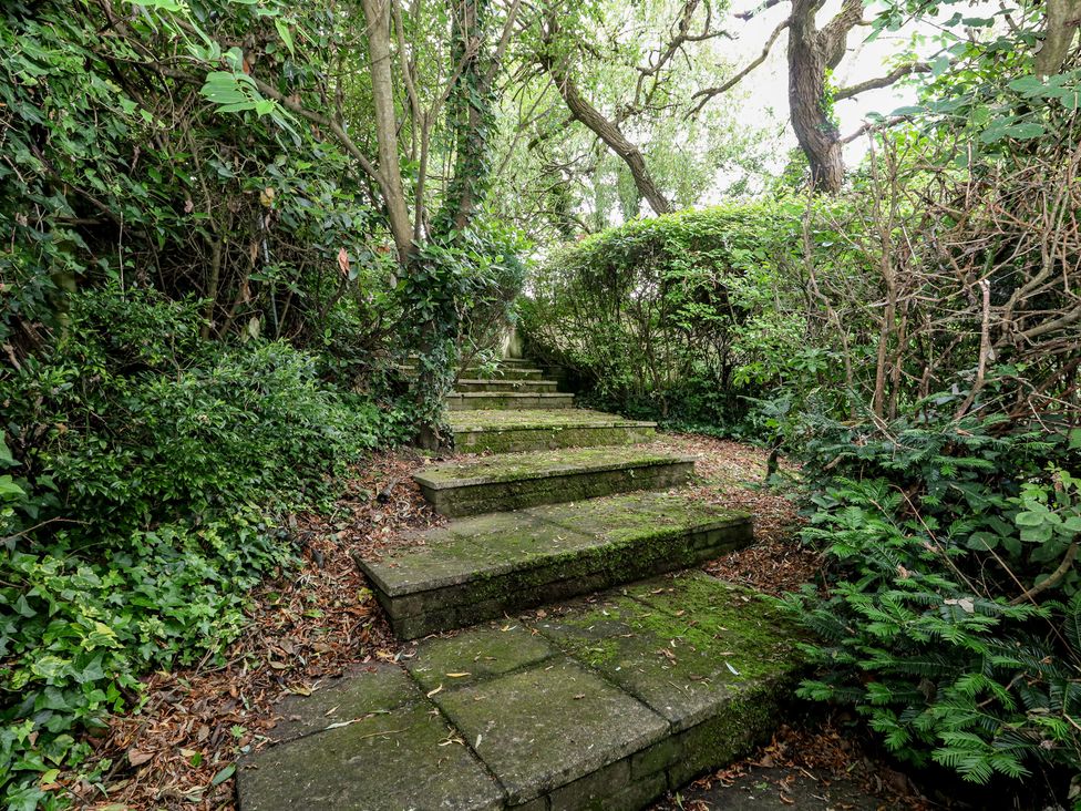 A pathway with stone steps surrounded by greenery at Woodbine Cottage in Weymouth