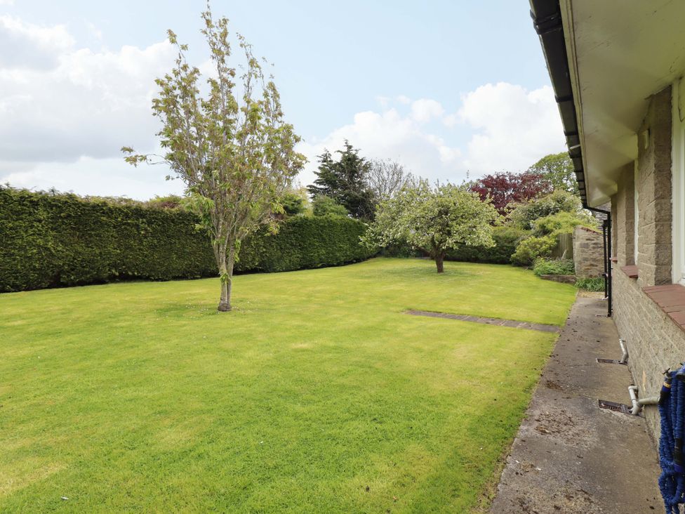 A garden with grass and trees at Campden in Rennington near Embleton