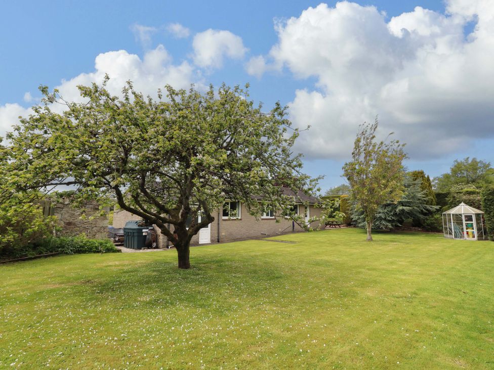 A garden with a tree and greenhouse at Campden in Rennington near Embleton