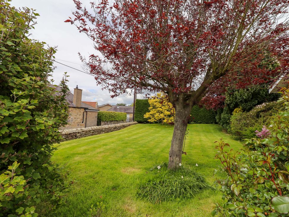 A garden with a tree and grass at Campden Rennington near Embleton