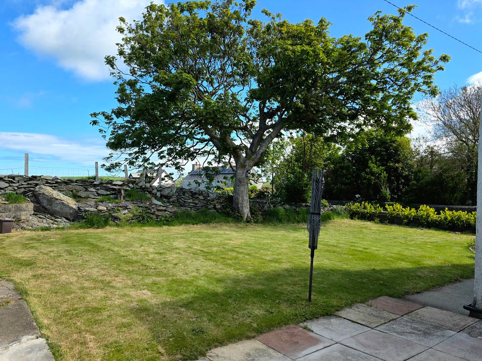 A garden with a tree and grass at Pant in Holyhead
