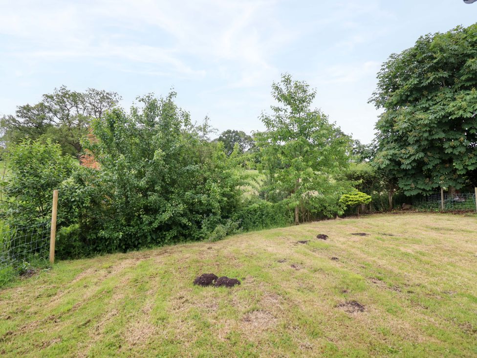 A garden area with grass and trees at Henlle Home Farm Gobowen