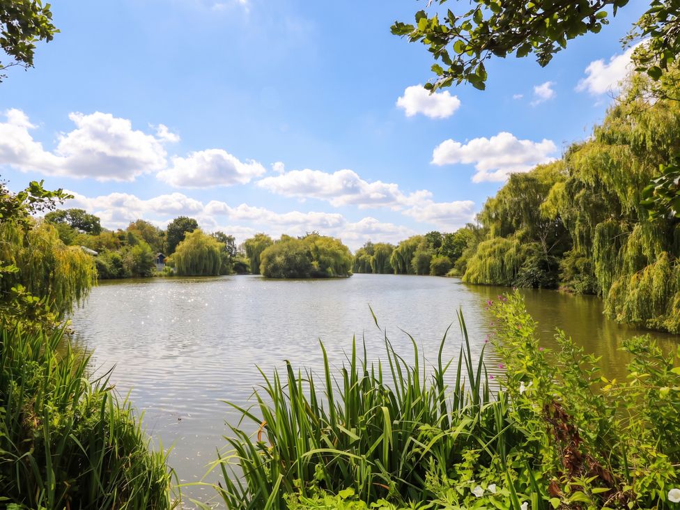 A lake surrounded by greenery and trees at Forest Retreat - FO26 in Saxmundham
