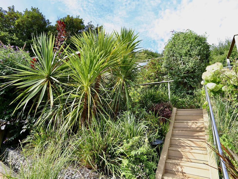 A garden with a wooden staircase and various plants at Dart Views in Dartmouth