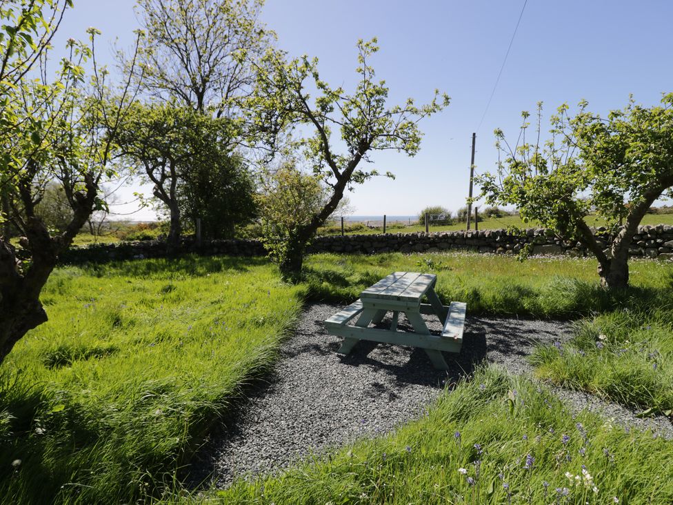 A garden with a picnic table surrounded by grass and trees at Beudy Bach Llanbedr