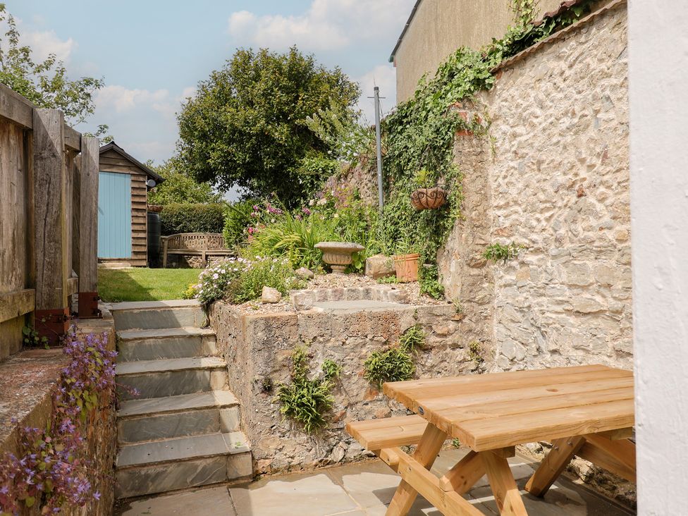 A garden with steps and a bench at Saybrook Cottage in Charmouth