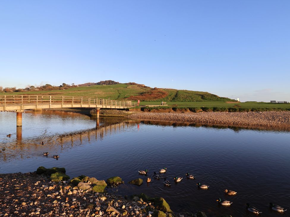 A landscape with a bridge over water and ducks at Saybrook Cottage in Charmouth