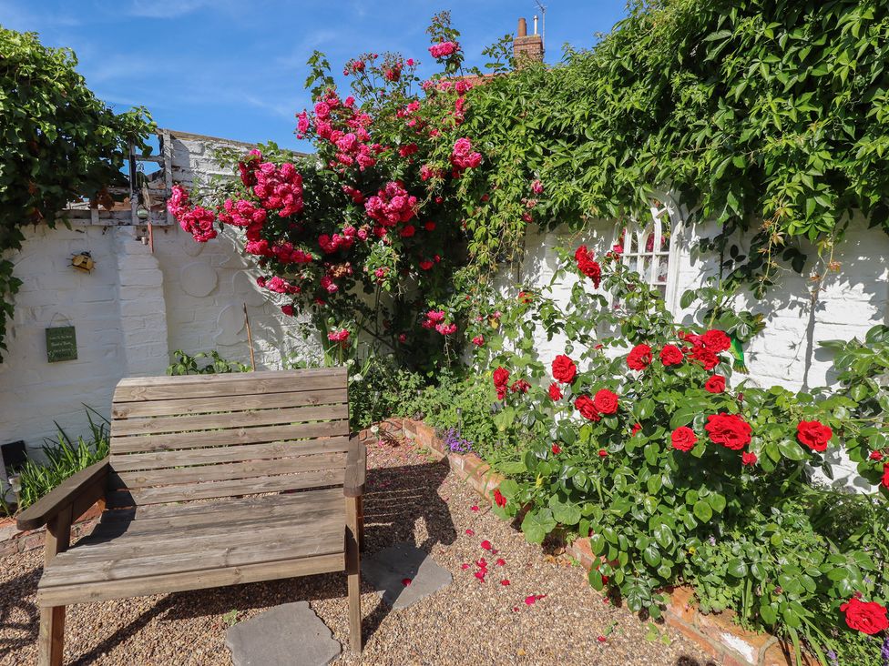 A garden with a wooden bench and rose bushes at Pankhurst Cottage in Louth
