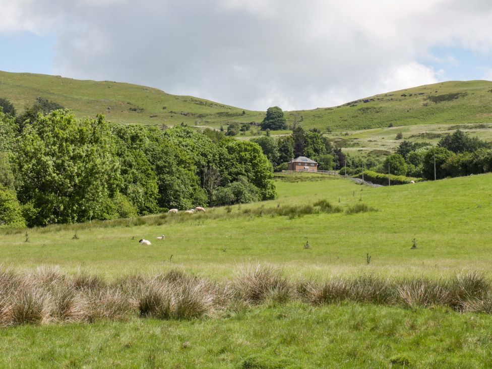 A house on green hills with sheep grazing at Yr Onnen in 