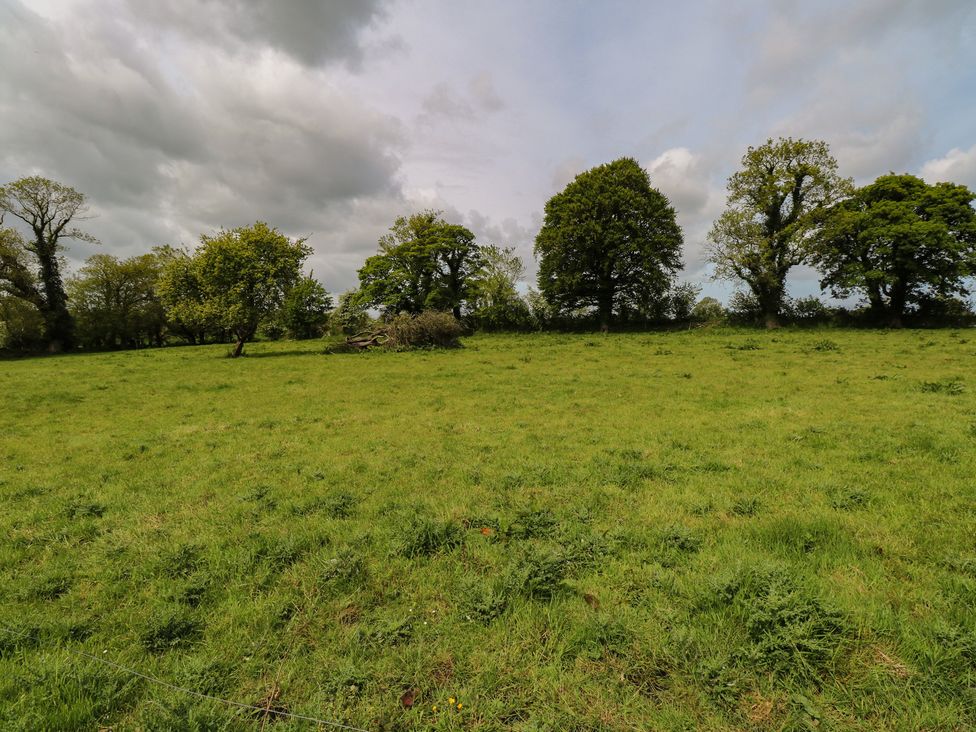 A grassy field with trees and clouds at River House