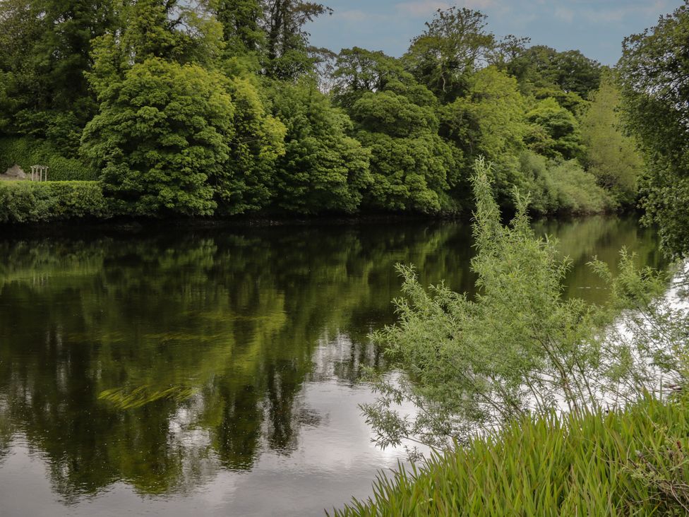 A river surrounded by trees and plants at River House in 
