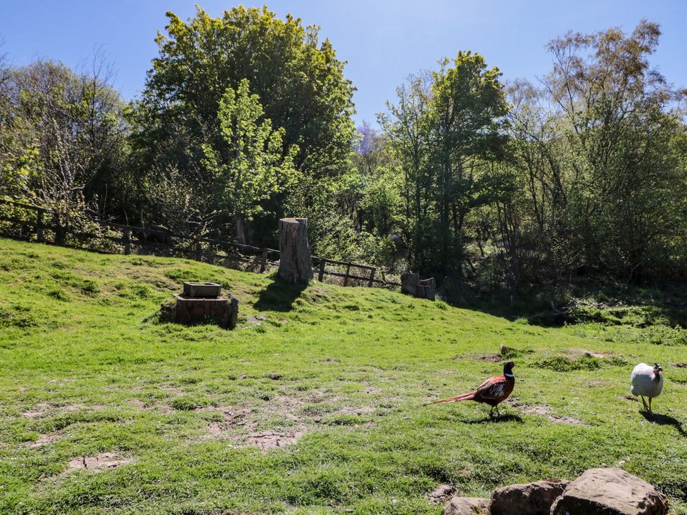 A grassy area with trees and birds at The Cottage in Stokesley