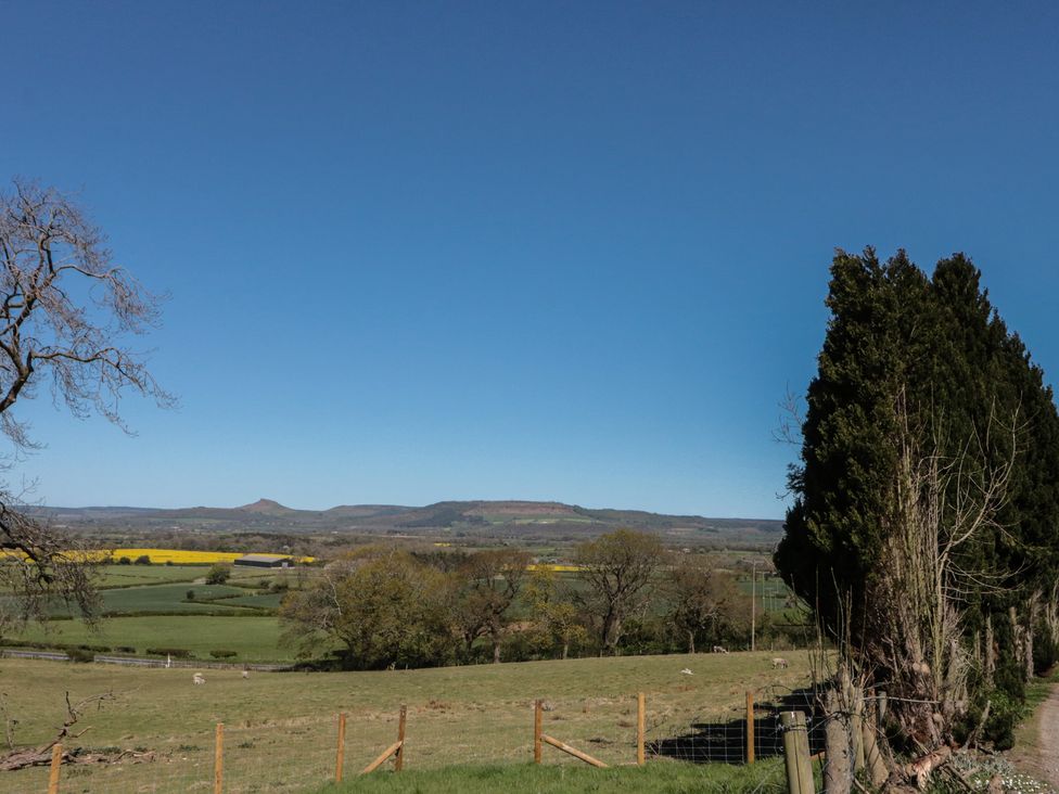 A field with trees and a mountain view at The Cottage in Stokesley