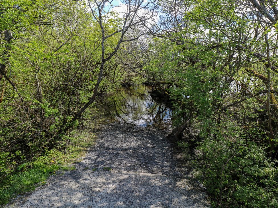 A path leading to water with trees and bushes at Cahir Cottage Ballinrobe, County Mayo