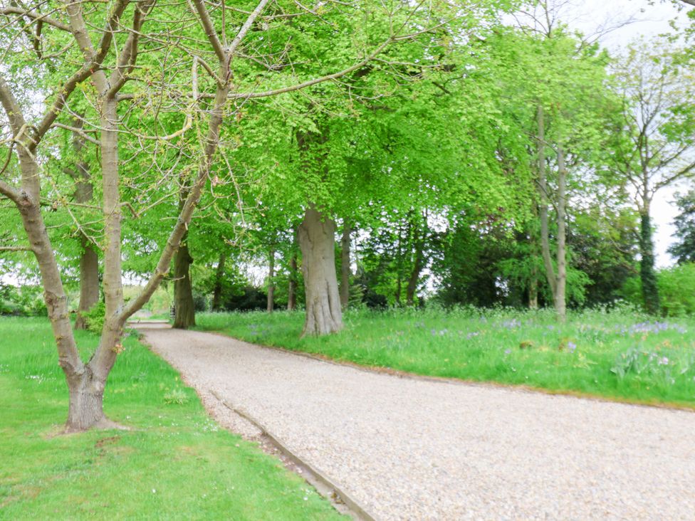 A path lined with trees and grass at The Gardener's Cottage, Low Hall, Scarborough