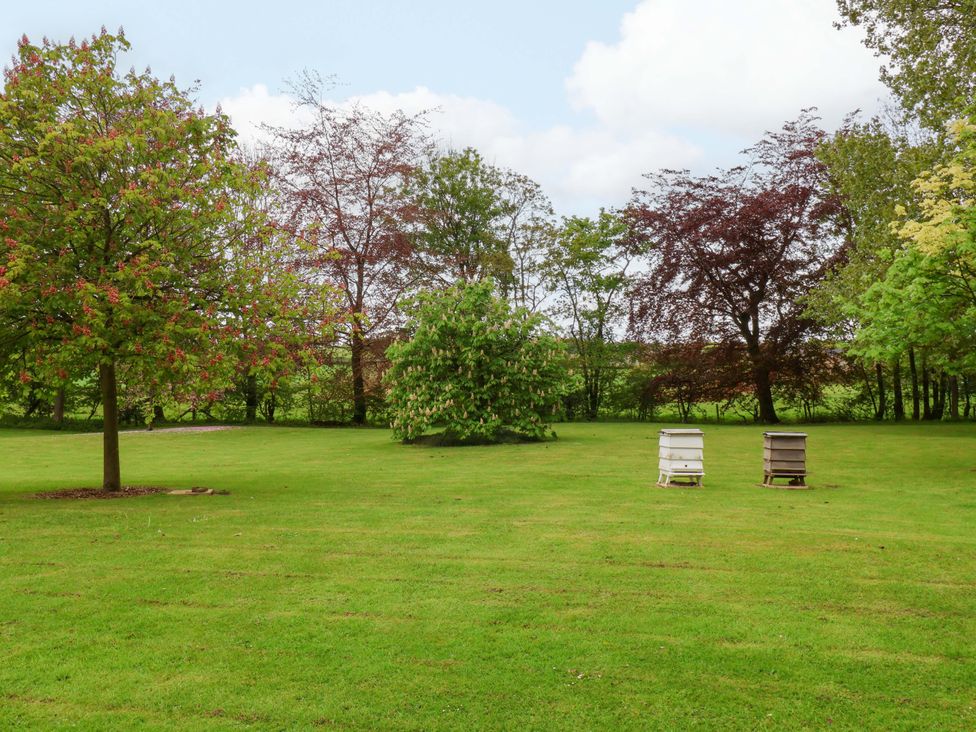 A garden with trees and beehives at The Gardener's Cottage, Low Hall Scarborough