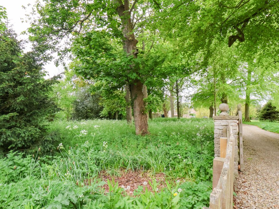 A garden with trees and a gravel path at The Gardener's Cottage, Low Hall, Scarborough
