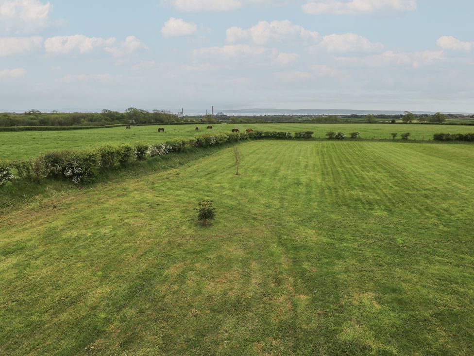 A field with grass and horses grazing at The Gallops in Barry