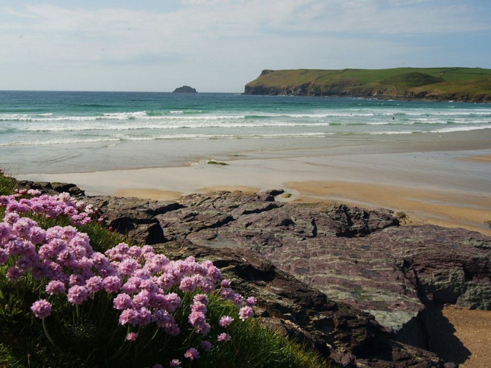 A beach with flowers and rocks at Trehaverock Cottage St. Endellion near Port Isaac