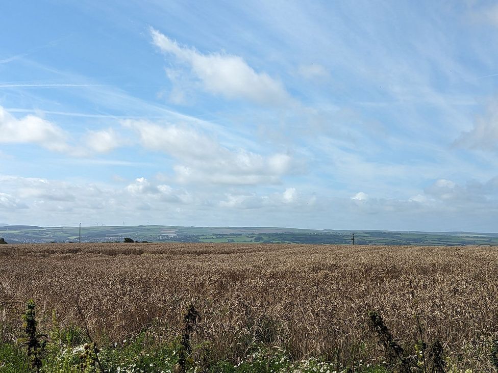 A field with crops under a blue sky at Trehaverock Cottage St. Endellion near Port Isaac