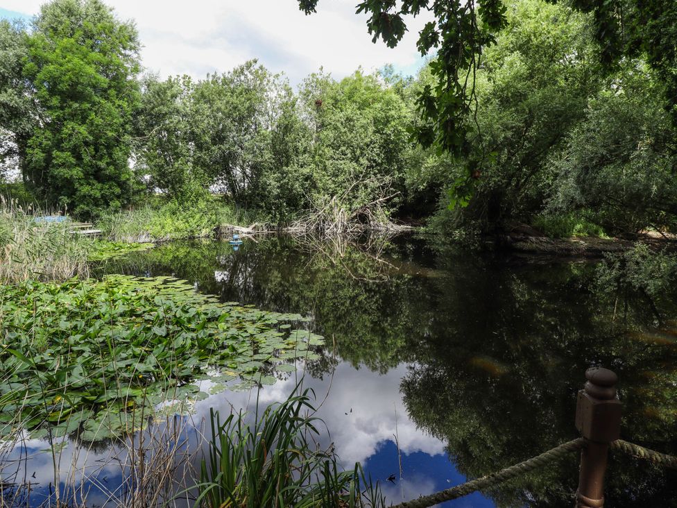 A pond with lily pads and trees at Willow Tree Barn in Spalding