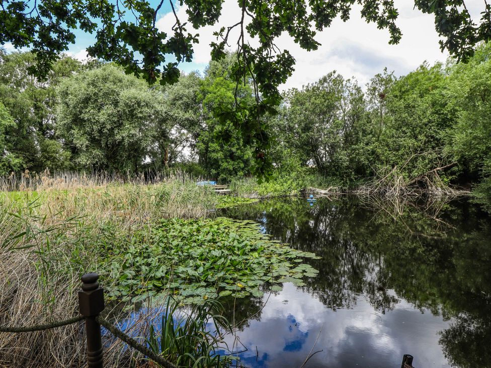 A pond with lilypads and trees at Willow Tree Barn in Spalding