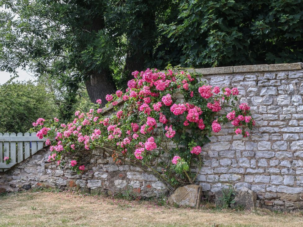 A stone wall with pink flowers and grass at Reighton House in Reighton near Filey