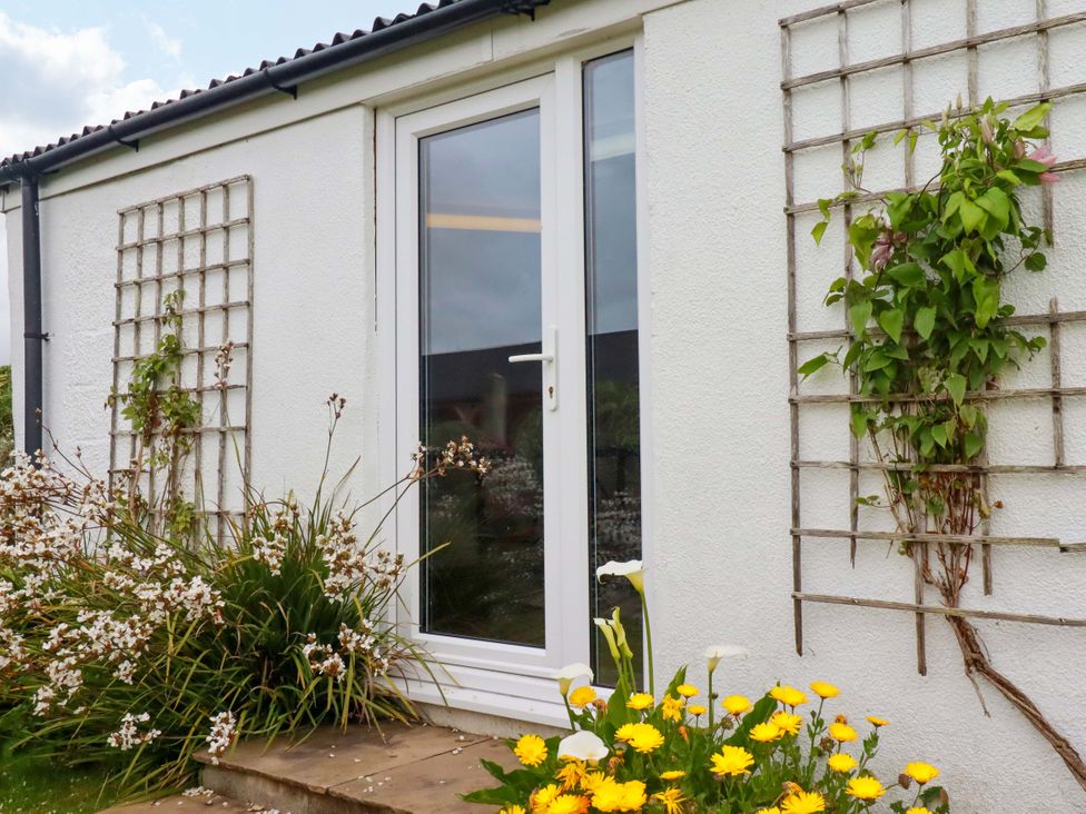 A garden with flowers and a door at Seveock in Threemilestone