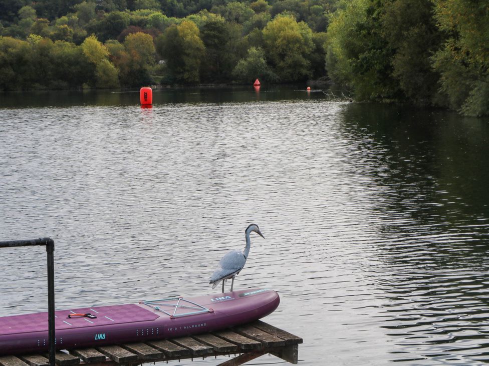 A paddle board on a dock with a grey heron at Mallard Lodge in Marlow