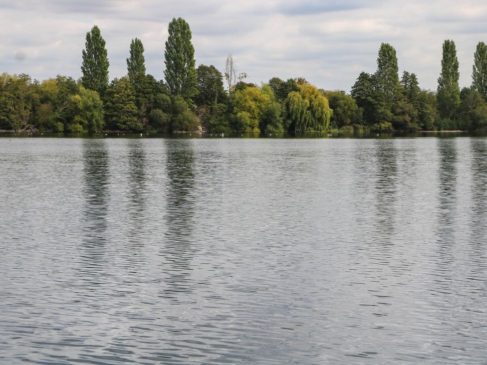 A lake with trees along the shoreline at Mallard Lodge in Marlow