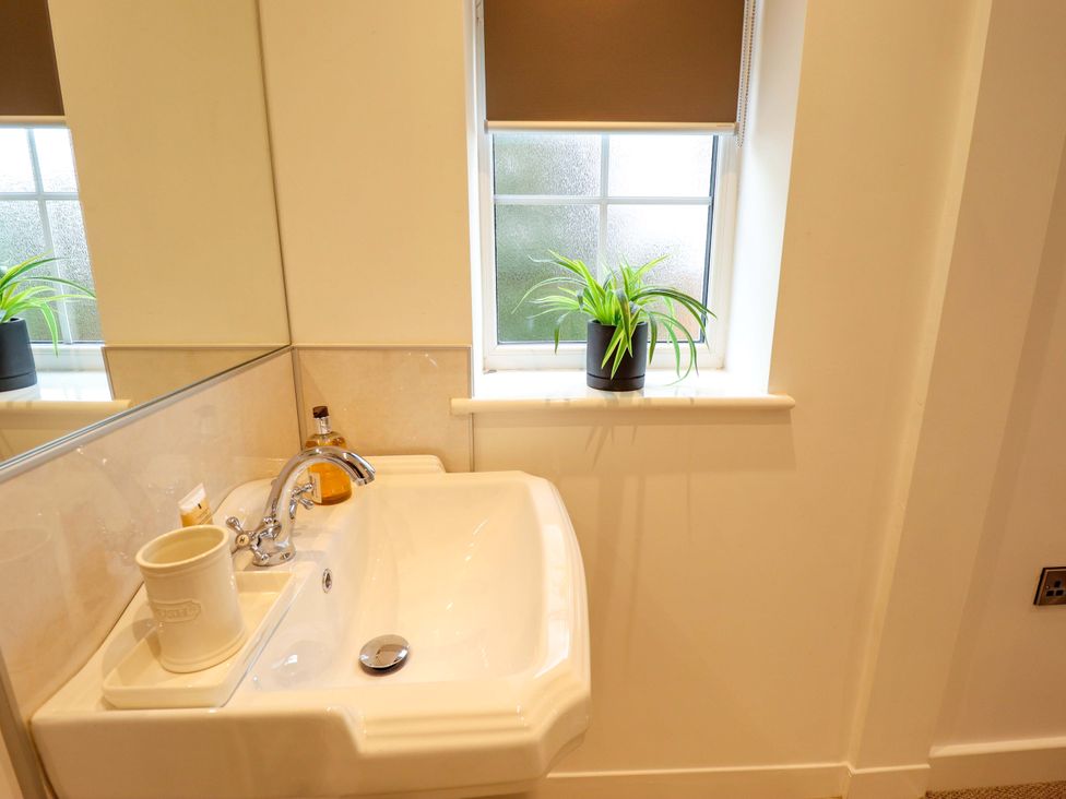 A bathroom with a sink and plant at The Hen House 
