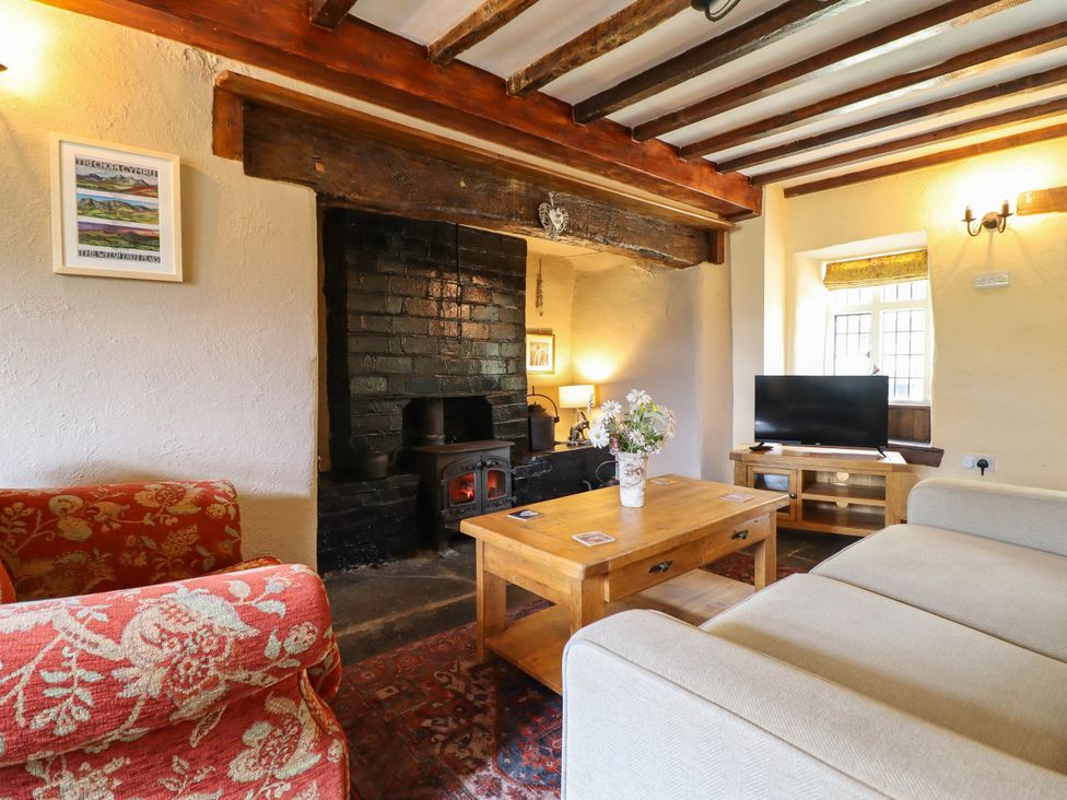 A living room with a fireplace and a television at Frondirion Dinas Mawddwy