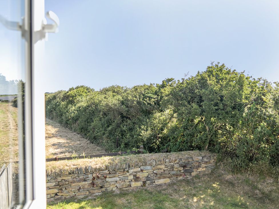 A view of vegetation and a stone wall from a window at Buttercup Cottage in St Merryn
