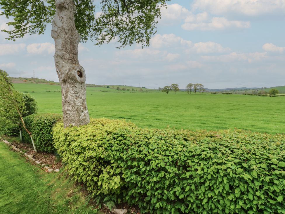 A field with a tree and hedge at Plot 34 Carlisle