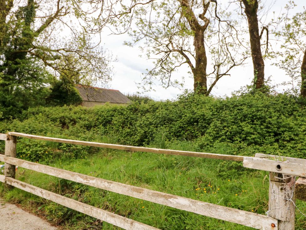 A rural scene with a wooden fence and trees at Gullane East in Rathmore, County Kerry
