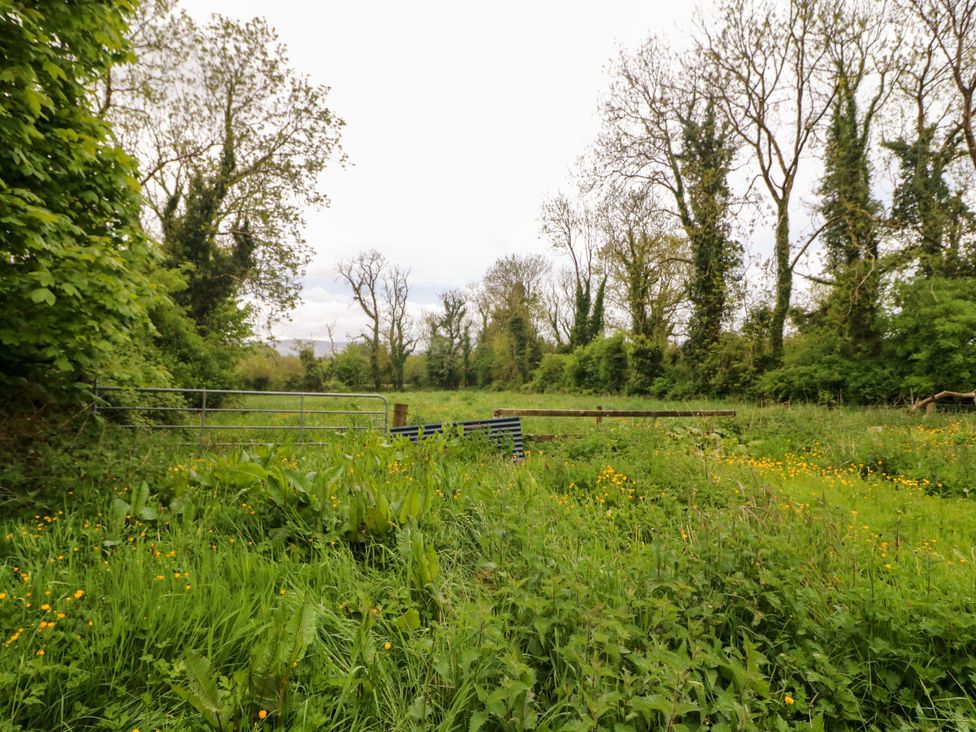 A field with a gate and trees at Gullane East, Rathmore, County Kerry