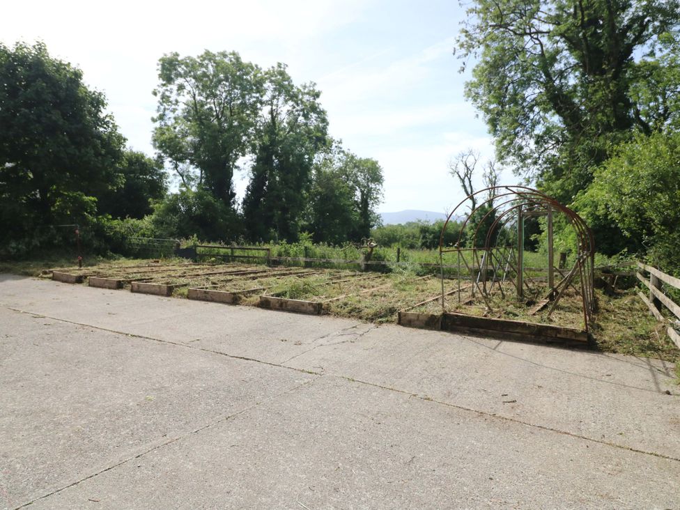 A garden with trees and raised beds at Gullane East in Rathmore, County Kerry