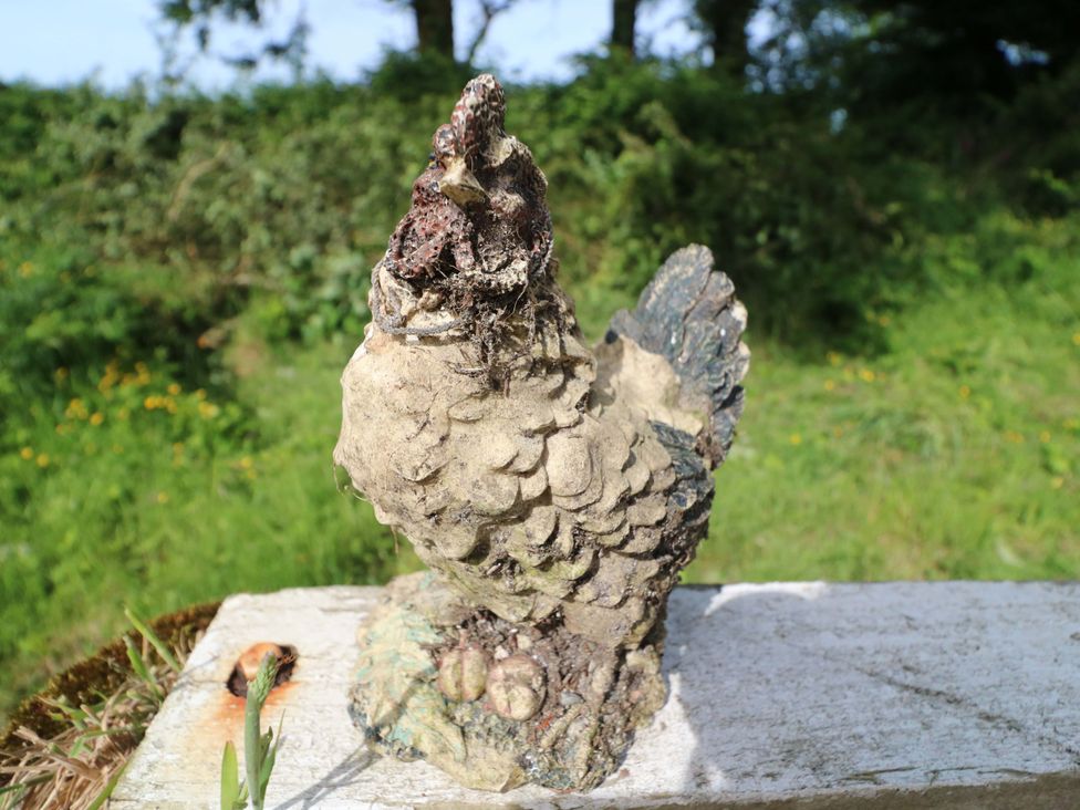 A chicken sculpture on a wooden surface in an outdoor setting at Gullane East, Rathmore, County Kerry