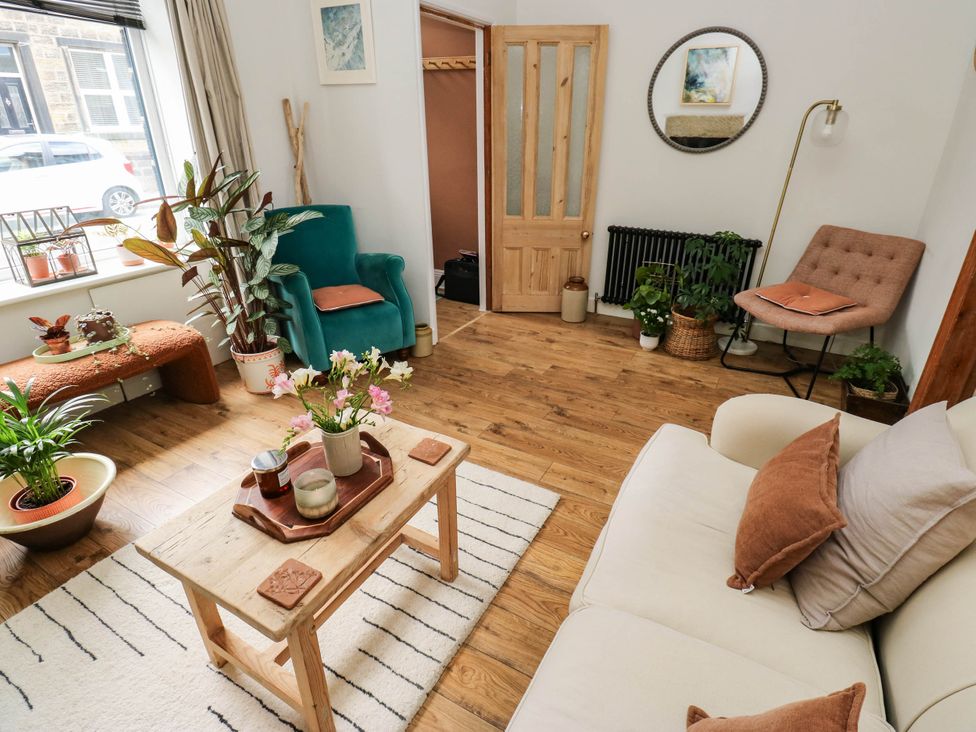 A living room with furniture and plants at 10 Park Road