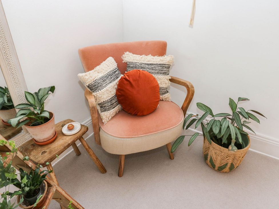A chair with cushions and plants in a sitting room at 10 Park Road